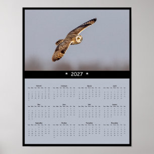 Póster Calendario mural de búho orejicorto 2027: Vuelo de