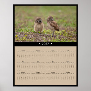 Póster Calendario mural de búhos excavadores 2027 - Famil