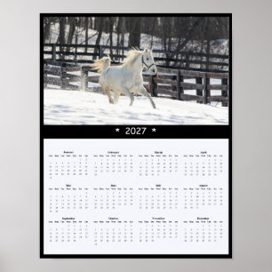 Póster Calendario mural de caballos 2027 - Belleza campes