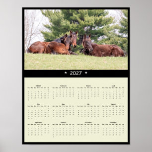 Póster Calendario mural de caballos 2027 - Fotografía equ