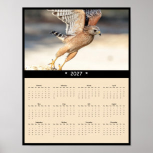 Póster Calendario mural de halcón de hombro rojo inmaduro