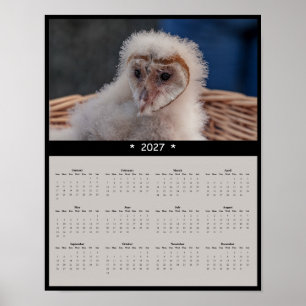 Póster Calendario mural de lechuza de granero bebé 2027 -