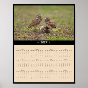 Póster Calendario mural de lechuza de madriguera 2027 - E