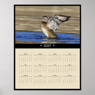 Póster Calendario mural de Pato de Carolina 2027 - Fotos