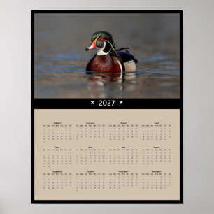 Póster Calendario mural de Pato de Carolina 2027 - Natura