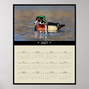 Póster Calendario mural de Pato de Carolina 2027 - Plumaj