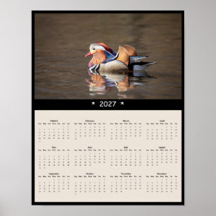 Póster Calendario mural de pato mandarín 2027 - Vida silv