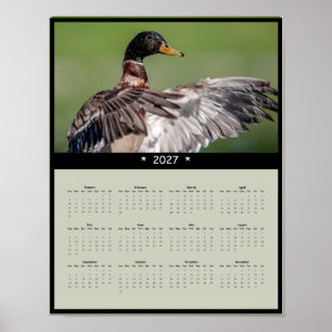 Póster Calendario mural de pato silbón 2027 - Vida silves