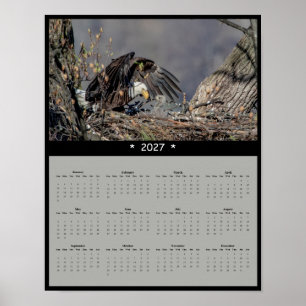 Póster Calendario mural del águila calva de 2027 - Guardi