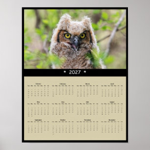 Póster Calendario mural del búho cornudo grande 2027: Gua