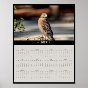 Póster Calendario mural del gavilán de hombros rojos 2027