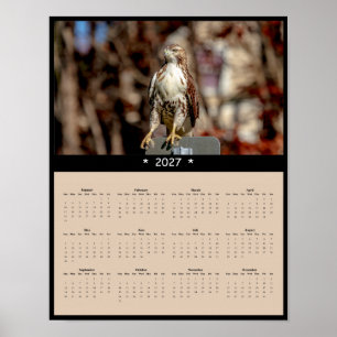 Póster Calendario mural del halcón de cola roja 2027, Ave