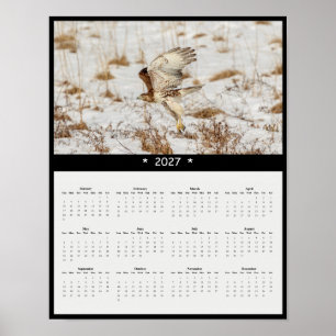 Póster Calendario mural del halcón de cola roja 2027 - Gu