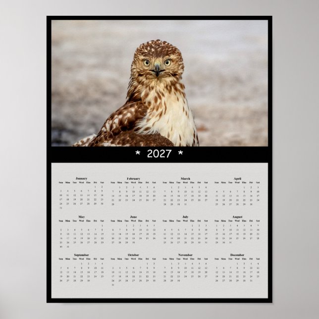 Póster Calendario mural del halcón de cola roja 2027 - Oj (Frente)