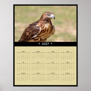 Póster Calendario mural del halcón de cola roja 2027 - Ra