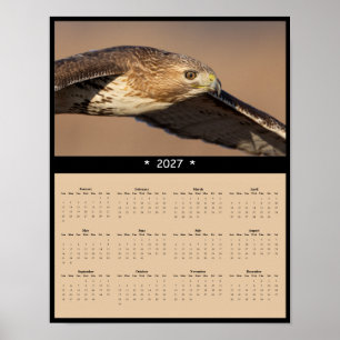 Póster Calendario mural del halcón de cola roja 2027 - Ra