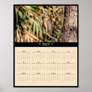 Póster Calendario mural del halcón de hombros rojos 2027