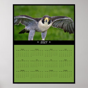 Póster Calendario mural del halcón peregrino 2027
