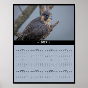 Póster Calendario mural del halcón peregrino 2027