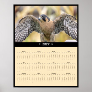 Póster Calendario mural del halcón peregrino 2027 - Cazad