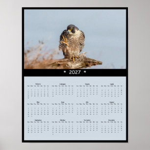 Póster Calendario mural del halcón peregrino 2027 - Speed