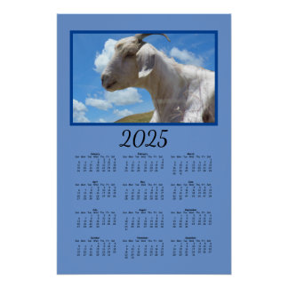 Póster Calendario - Oveja en la colina