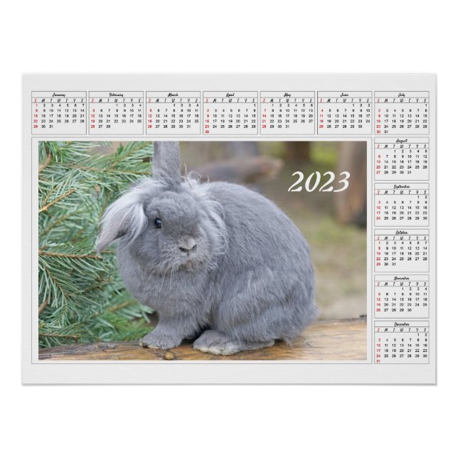 Póster Calendario para 2023 conejo gris mate (Anverso)