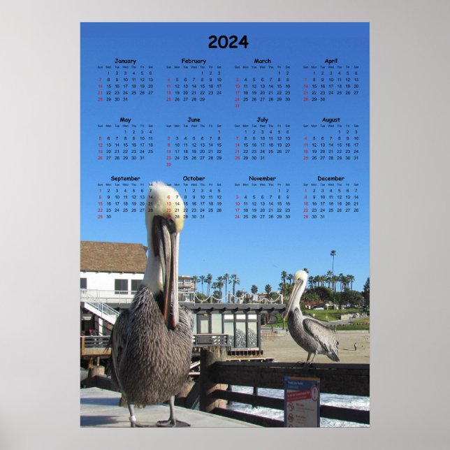 Póster Calendario - Pelícanos en el Muelle 2024 (Frente)