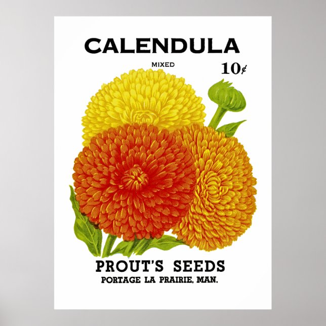 Póster Calendula Vintage Seed Pack (Frente)