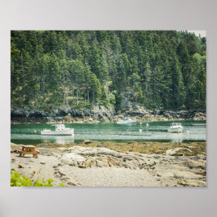 Póster Caleta en costa de Maine Playa y Barcos 8x10