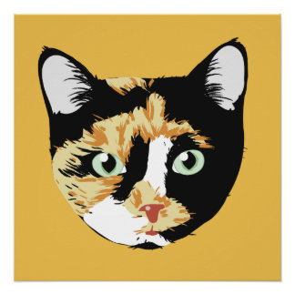 Póster Calico Cat Bonita