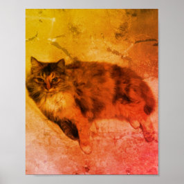 Póster Calico Cat Poster