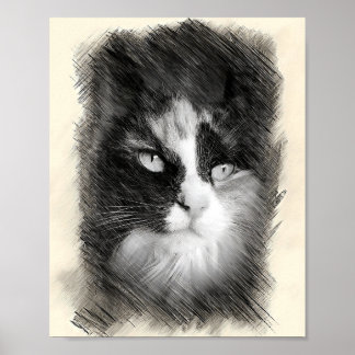 Póster Calico Cat Sketch Art - Feline Portrait Drawing