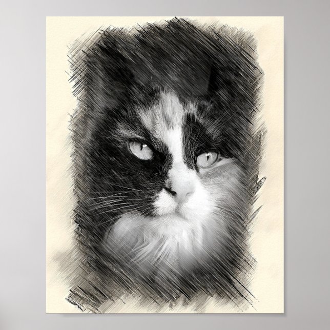 Póster Calico Cat Sketch Art - Feline Portrait Drawing (Frente)