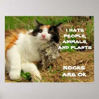 Póster Calico gruñón odia todo menos las rocas