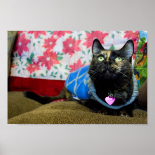 Póster Calico II
