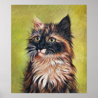 Póster Calico kitten