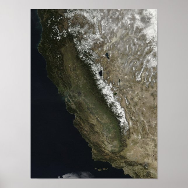 Póster California (Frente)