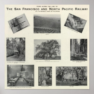 Póster California 6