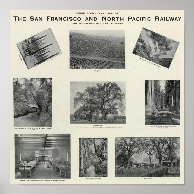 Póster California 6 (Frente)