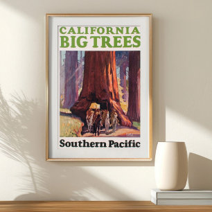 Póster California Antiguo Grandes Árboles Southern Pacifi