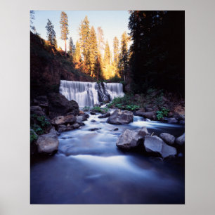 Póster California, Bosque Nacional Shasta-Trinity