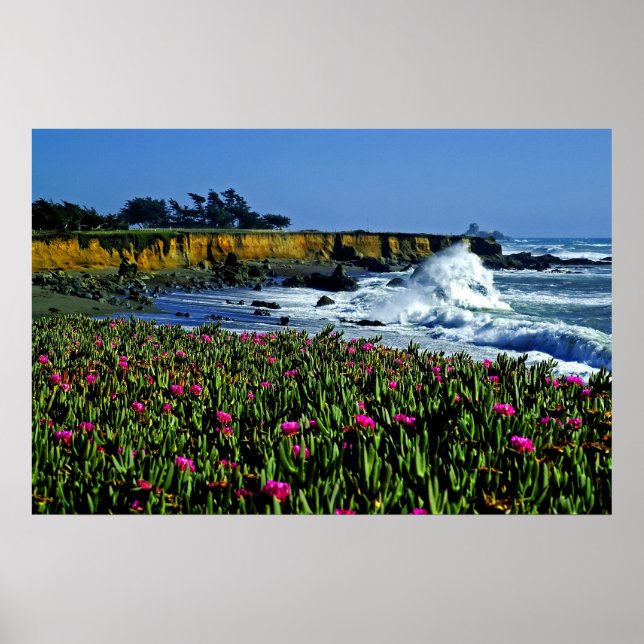 Póster California Coast Flowers Poster