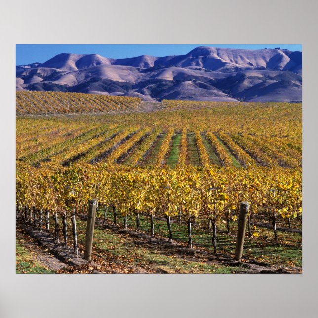 Póster California, Condado de San Luis Obispo, Valle Edna (Frente)