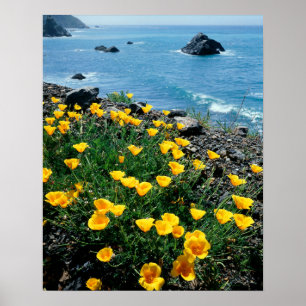 Póster California, Costa Big Sur, Costa Central 1