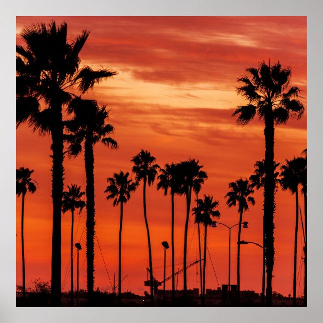Póster California Palms Sunset (Frente)