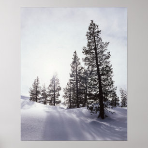 Póster California, Parque Estatal Rancho Cuyamaca