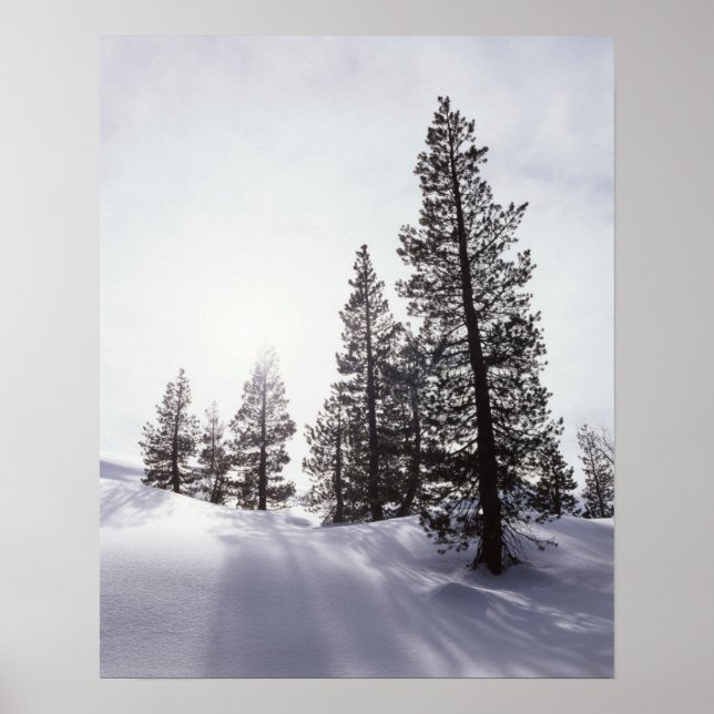 Póster California, Parque Estatal Rancho Cuyamaca (Frente)