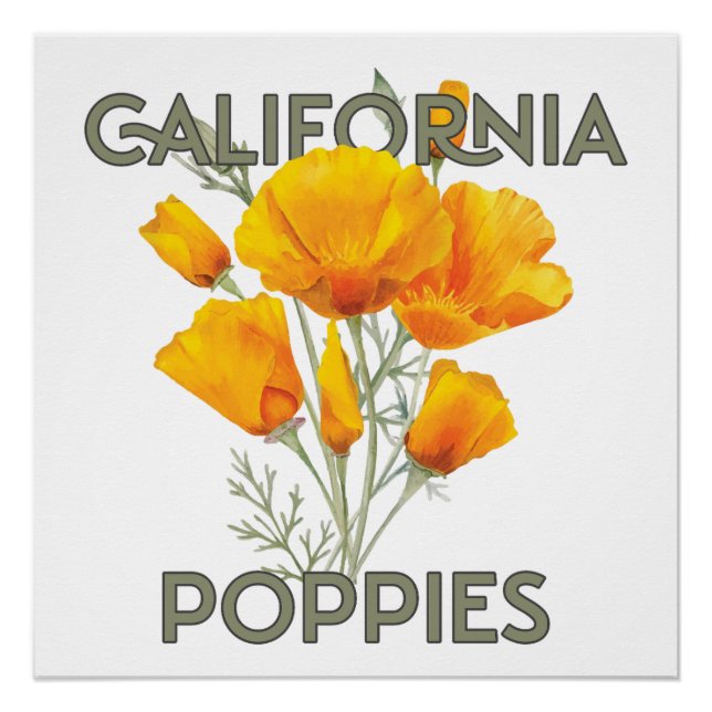 Póster California Poppies (Anverso)