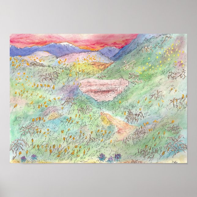 Póster California Poppies (Frente)